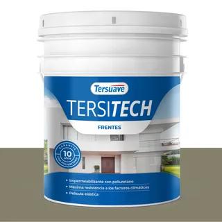 TERSITECH GRIS CEMENTO 10 Lts FRENTES