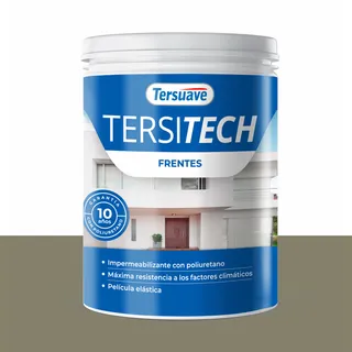 TERSITECH GRIS CEMENTO 1 Lts FRENTES